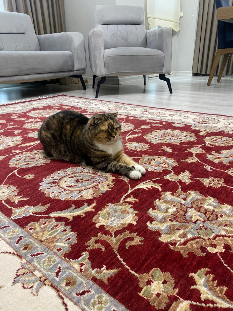 Yün Uşak Halısı