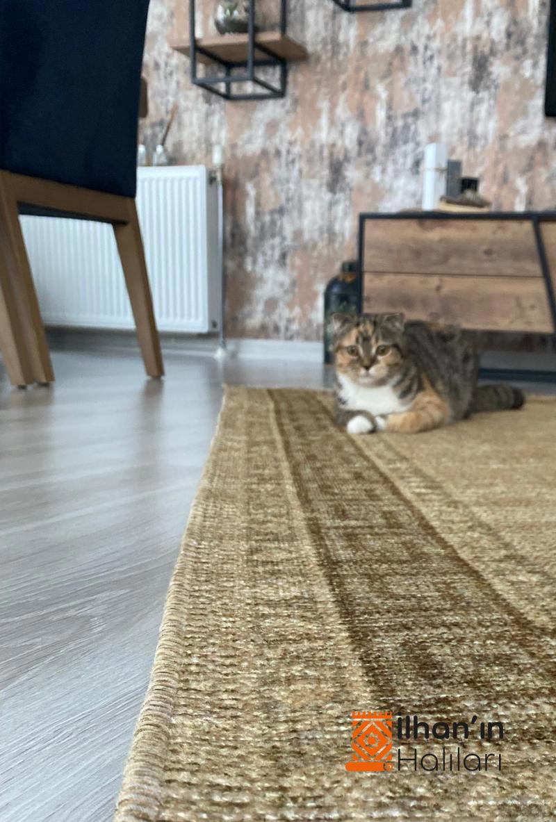 Melidia Retro Kilim 160x230